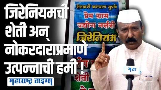 एकदा लावा, तीन वर्ष उत्पन्न  मिळवा ! जिरेनियम शेतीतून महिन्याला एकरी ३० ते ५० हजारांचं  उत्पन्न