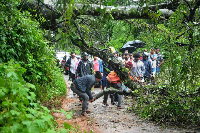 Chikmaglur: Workers remove a tree uprooted following heavy monsoon rains, at Dat...