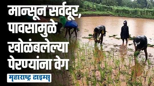 शेतकरी सुखावला! बीड जिल्ह्यात दमदार पावसाच्या विश्रांतीनंतर पेरण्यांना वेग