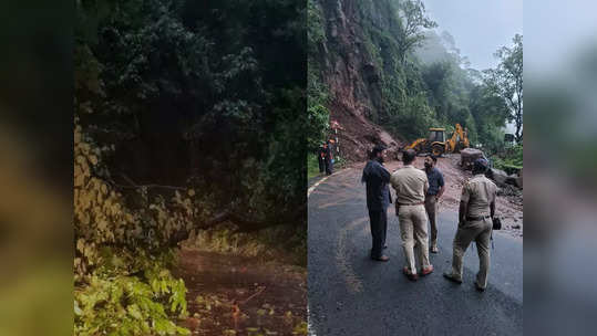 कोकणसाठी मोठी अपडेट; करूळ घाटात दरड, तर आंबोली घाटात झाड कोसळले