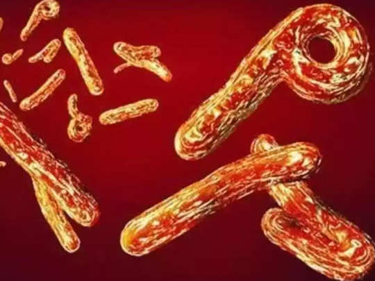 Tanzania Ebola Like virus: तंजानिया में फैला रहस्यमय वायरस, लक्षण इबोला के लेकिन जांच में नहीं दिखता, अब तक तीन की मौत 