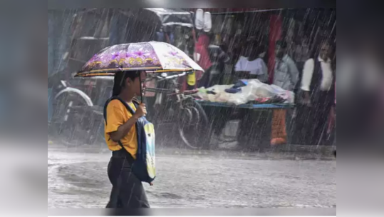 Maharashtra Rain Update :  गोदावरी-प्राणहीता नदी काठच्या लोकांना सतर्कतेचा इशारा, पाहा राज्यात कुठे काय स्थिती