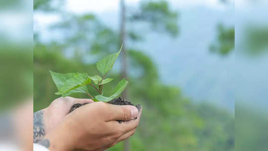 Career in Environment:पर्यावरणात करिअरच्या उत्तम संधी, जाणून घ्या तपशील