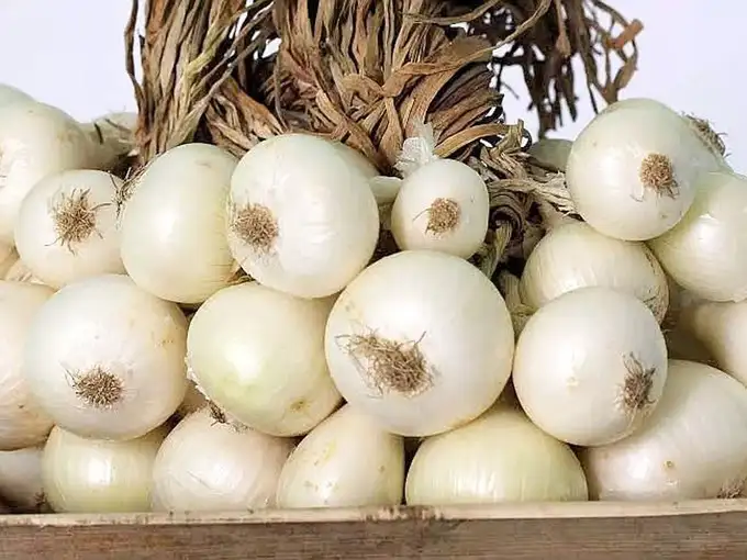 Celebrity chef Sanjeev Kapoor reveals 5 amazing benefits of white onion