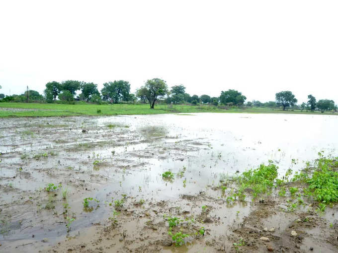 rain in hingoli district