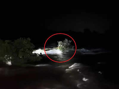 नदीत मधोमध अडकले ९ पर्यटक: अचानक पाण्याचा प्रवाहही वाढला; थरकाप उडवणारं रेस्क्यू ऑपरेशन 