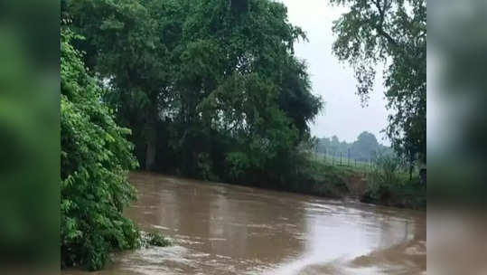 विदर्भातील १.३५ लाख हेक्टरवरील पिकांचे नुकसान; तातडीने पंचनाम्याचे आदेश