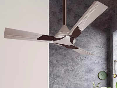 घर पर चाहिए तेज हवा और कम बिजली का बिल, तो ये Ceiling Fan होंगे बेस्ट ऑप्शन 