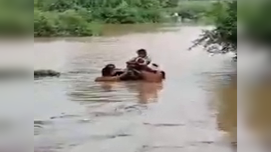 आजारी लेकराचा जीव वाचवण्यासाठी मातेनं पुरातून काढला मार्ग, धाडसी 'हिरकणी'चा VIDEO व्हायरल...