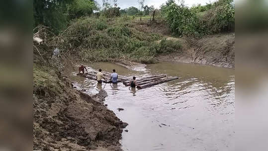 ''पुष्पा' अभी झुका नहीं'; वनविभागाच्या धाडसी कारवाईत मिळाले लाखो रुपयांचे सागवान लाकूड