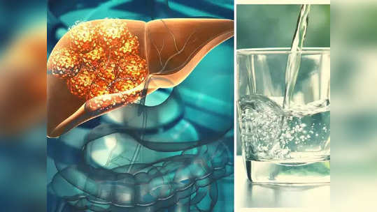 Liver Health<strong> : </strong>दारू नाही तर तुमच्याच 'या' 7 वाईट सवयी लिव्हर संपूर्ण सडवतात, ताबडतोब बदला नाहीतर मृत्यू अटळ..!