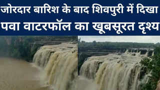 Pawa Waterfall Beautiful Video: बारिश के बाद शिवपुरी मे... 