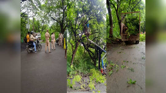 Aarey Car Shed: मेट्रो कारशेडसाठी झाडांवर पुन्हा कुऱ्हाड, पोलीस संरक्षणात आरेतील झाडं कापायला सुरुवात