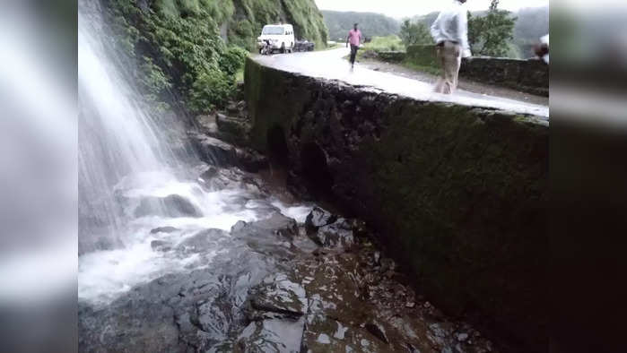 वाटेत धबधबा दिसला म्हणून तो प्रवास थांबवत उतरला; पुढे घडले ते धक्कादायक