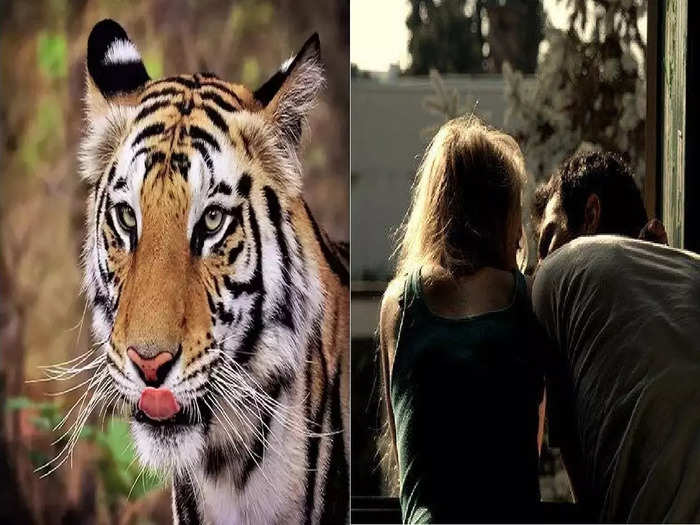 Uttar pradesh news girlfriend ran away with boyfriend family thought tiget take her in Baharaich