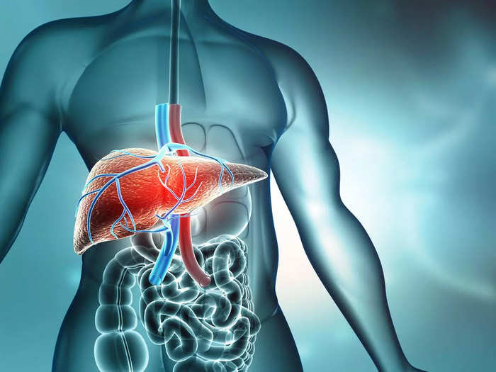 World Hepatitis Day 2022: What you need to know about hepatitis C and digestive issues
