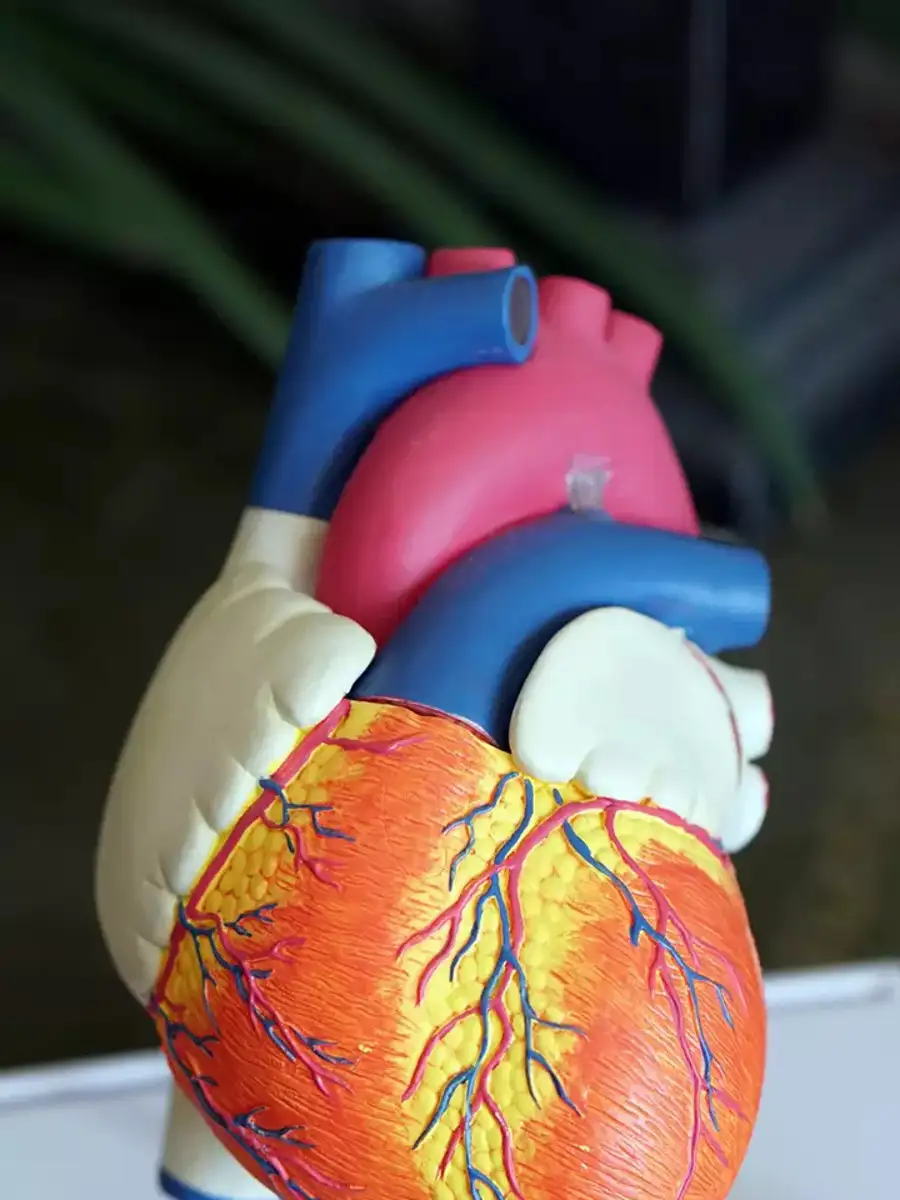 ਆਯੁਰਵੈਦਿਕ ਗਿਆਨ - ShareChat