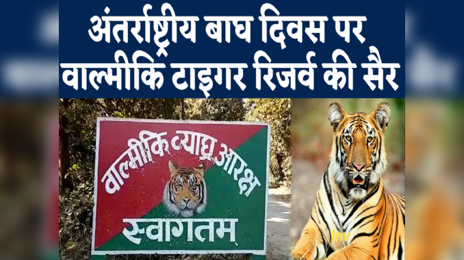 International Tiger Day : बाघों की दहाड़ से गुलजार वाल्मीकि टाइगर रिजर्व, बिहार में घूमने के लिए सबसे बढ़िया टूरिस्ट डेस्टिनेशन
