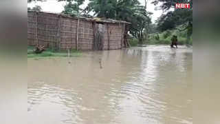 Bihar Flood: बेतिया के तराई इलाकों में घुसा गंडक नदी का... 