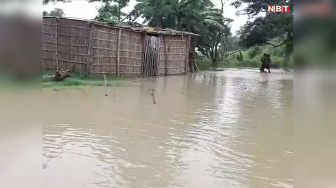 Bihar Flood: बेतिया के तराई इलाकों में घुसा गंडक नदी का पानी, गांव से लोगों का पलायन शुरू