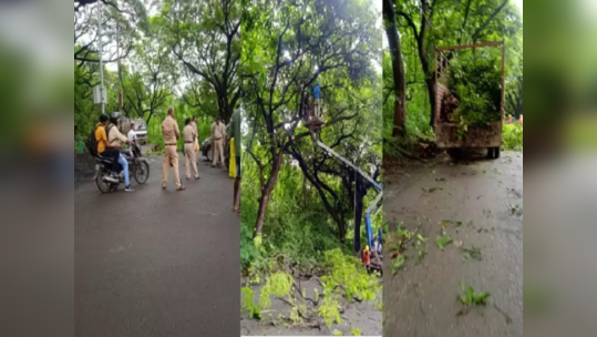 तोपर्यंत 'आरे'तील एकही झाड तोडू नये; सर्वोच्च न्यायालयाचा शिंदे सरकारला दणका