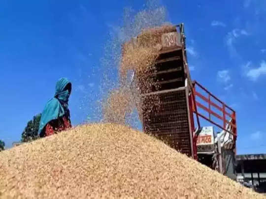 Wheat Price: ফাইল ফটো