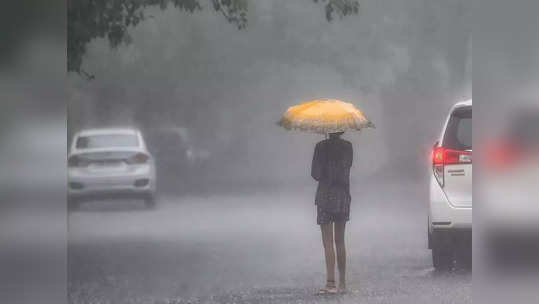 तुफान पाऊस, 'या' जिल्ह्यांसाठी पुढील ४८ तास धोक्याचे, हवामान खात्याचा इशारा