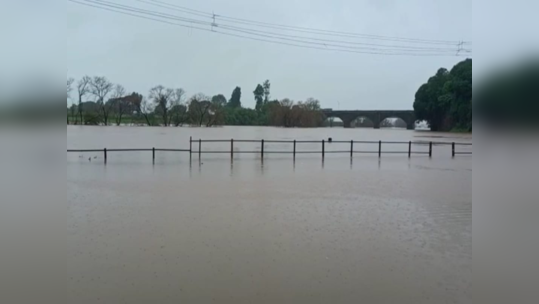 Kolhapur Flood News : कोल्हापुरला पुन्हा पुराचा धोका; राधानगरीचे दरवाजे उघडणार, पंचगंगा नदी पात्राबाहेर, वाचा अपडेट्स