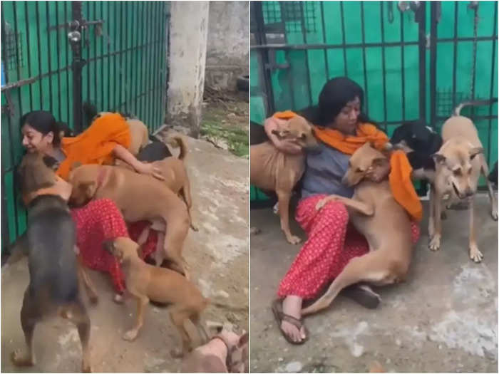 street dogs love woman video goes viral