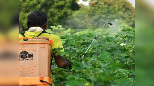 शेतकऱ्यांनो सावधान! पिकावर कीटकनाशक फवारताना १९ वर्षीय तरुणासोबत घडला धक्कादायक प्रकार