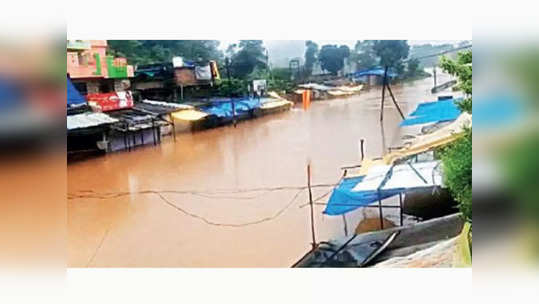 पूर्व विदर्भात पावासाचे थैमान; सततच्या पावसामुळं पूरस्थिती गंभीर, ग्रामीण भागातील रस्ते बंद