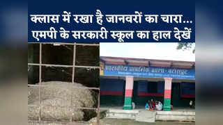 MP Government School: छतरपुर में यह स्कूल है या तबेला, ... 