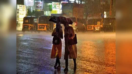 दोन दिवसांचा विसावा, रविवारपासून 'या' जिल्ह्यात परत धुंवाधार पाऊस, नागरिकांना अलर्ट