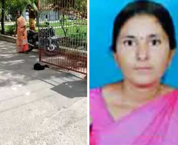 Woman kills daughter in law in kadapa