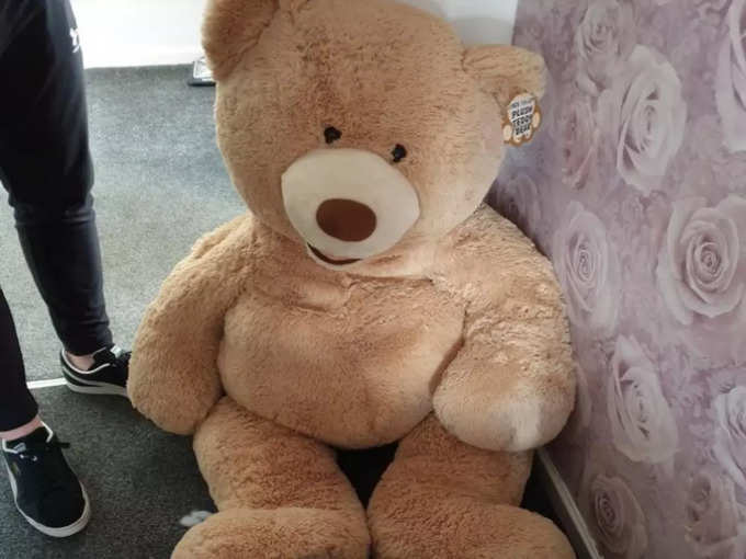 thief was hidden in teddy bear