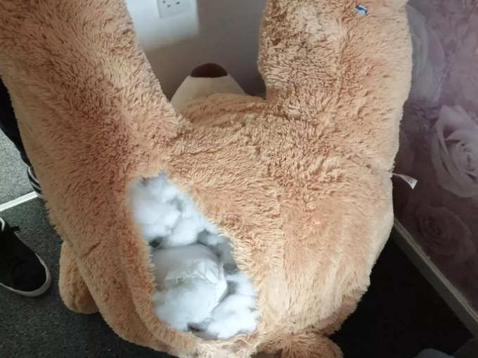 thief was hidden in teddy bear uk news