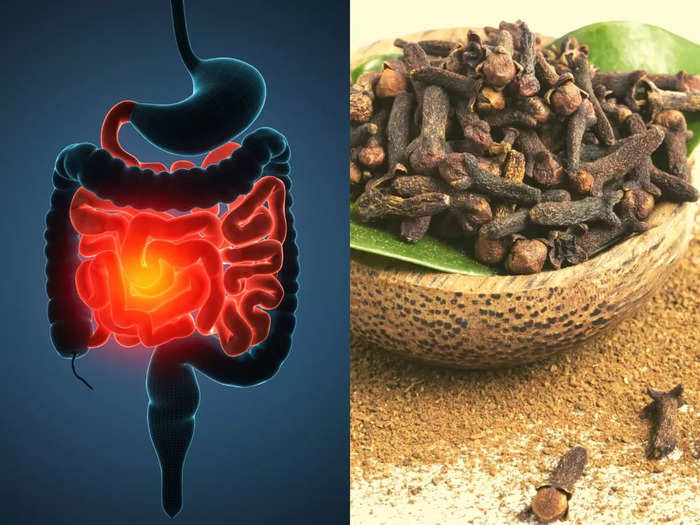 ayurveda doctor dixa bhavsar shared 5 anti inflammatory herbs found in the kitchen