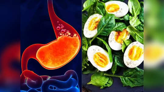 Diet Tips : कधीही चुकीच्या पद्धतीने खाऊ नका 'हे' 6 पदार्थ; शरीराच्या प्रत्येक अवयवाला विषारी बनवतात