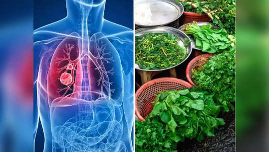 Cancer Vegetables : कॅन्सरच्या पेशी मारुन टाकतात साध्या वाटणा-या या 5 भाज्या, बॉडीत बनू देत नाही जीवघेण्या गाठी