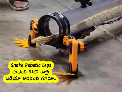 Snake Robotic Legs : పాముకి రోబో కాళ్లు.. ఐడియా అదిరింది గూరూ..