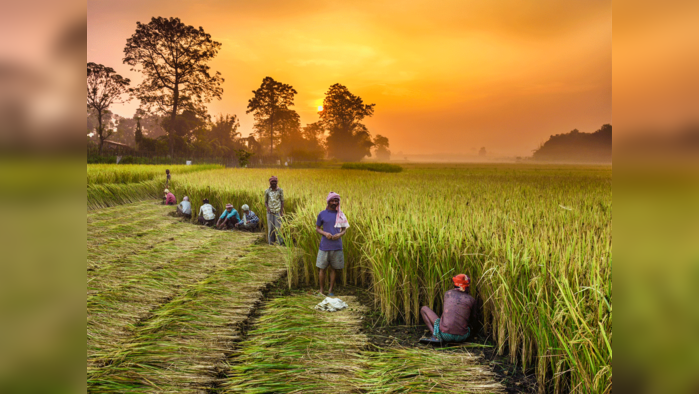 PM Kisan eKYC deadline extended to August 31: Here’s how to complete eKYC online