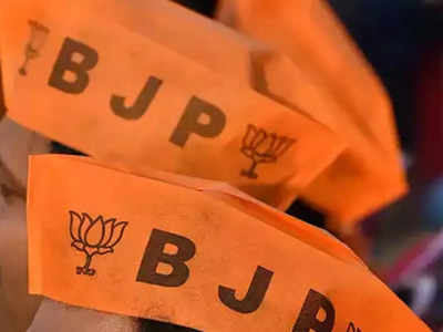 Madhya Pradesh BJP: प्रीतम लोधी बीजेपी से निष्कासित, ब्राह्मणों पर आपत्तिजनक टिप्पणी करने पर एक्शन 