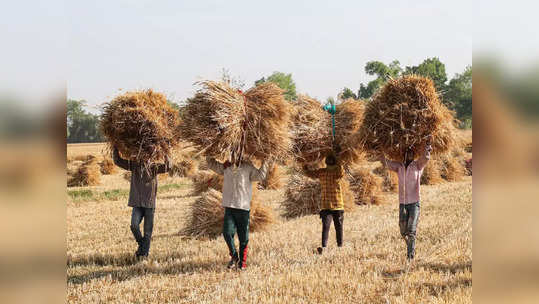 ग्रामीण कामगार गटाची चलनवाढ ६.८२ टक्क्यांवर