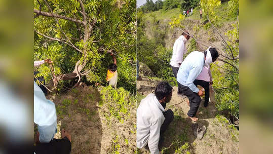 चार दिवस बेपत्ता, पाचव्या दिवशी कालव्याशेजारच्या झाडाला लटकता मृतदेह, नेमकं काय घडलं