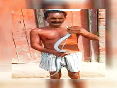 Shahjahanpur News: पूर्व प्रधान को सांप से खेलना पड़ गया भारी, पकड़ ढीली पड़ते ही डस लिया और चली गई जान