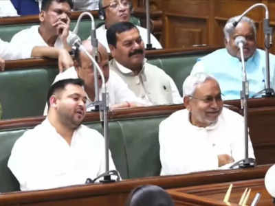Nitish Kumar News: पलटूराम, पेट में दांत.. विधानसभा में आज खूब सुनाती रही बीजेपी, मुस्कुराते रहे नीतीश कुमार 