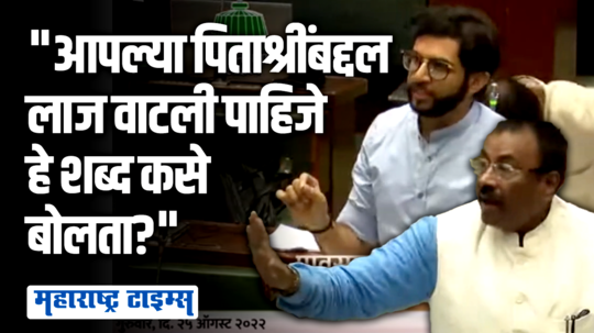 आपल्या पिताश्रींबद्दल लाज वाटली पाहिजे हे शब्द कसे बोलता? ; मुनगंटीवार आदित्य ठाकरेंवर भडकले