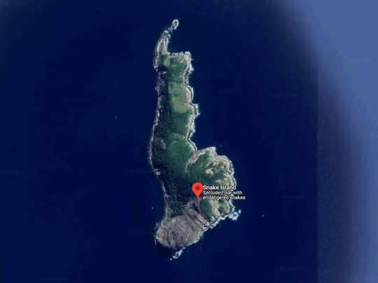 Snake Island : సర్పాల దీవి.. భూమిపై ప్రాణాంతక ప్రదేశం అదేనా?
