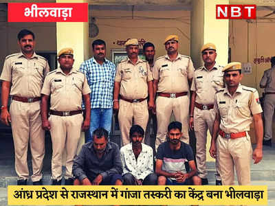 Bhilwara News : 3 करोड़ का 1205 किलो गांजा पकड़ में आया, तीन तस्कर गिरफ्तार