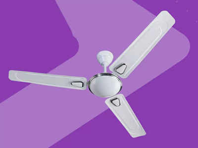 तेज हवा देने वाले बजाज Ceiling Fan पर पाएं भारी छूट, एक से बढ़कर एक ऑफर्स के बाद जमकर हो रही है बिक्री 